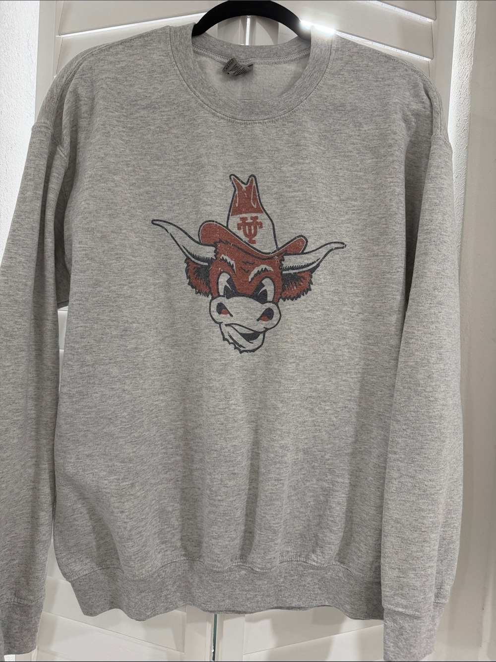Gray Crewneck Sweatshirt with Red Mascot Graphic